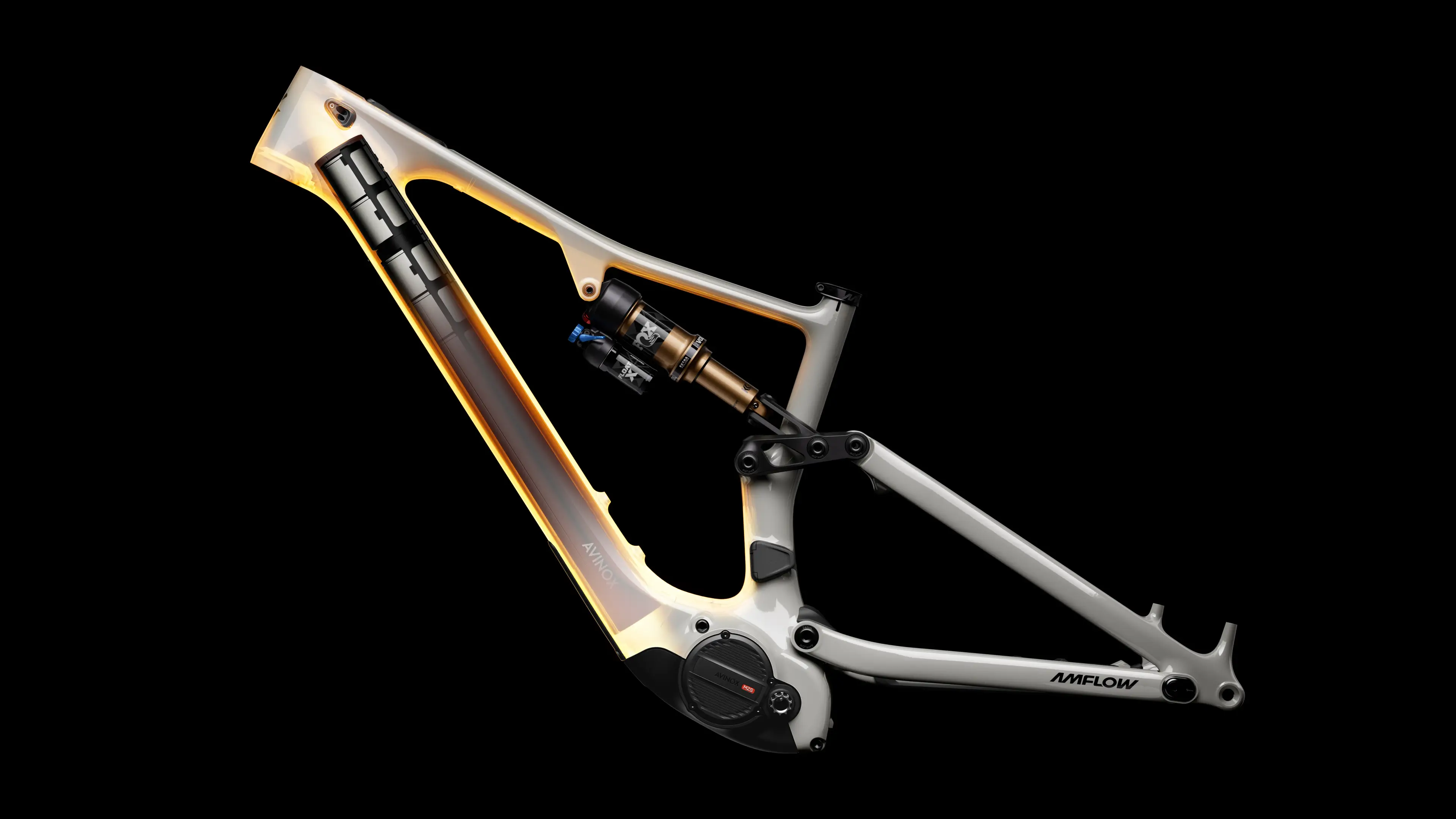 Amflow PX Carbon with Avinox M2S motor
