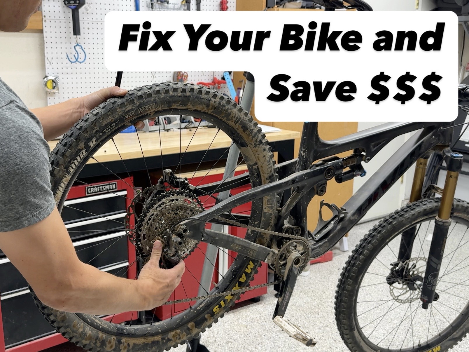 EAE7684B-9BD9-48E6-8B9B-705ED1CDD181_Original